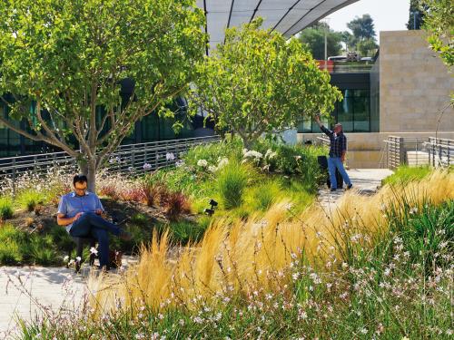 Reading man sitting under a small tree on a green roof